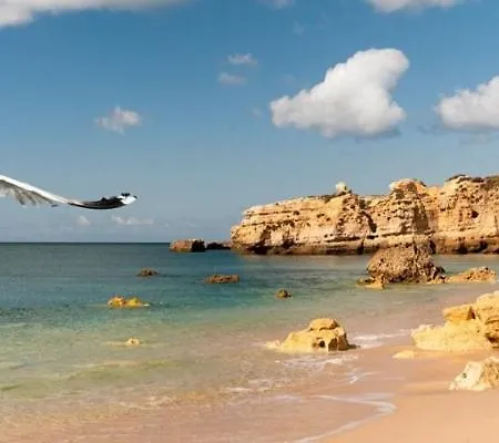 Feriehus Acolhedora 371, 3 Quartos, Balaia Golf Village *