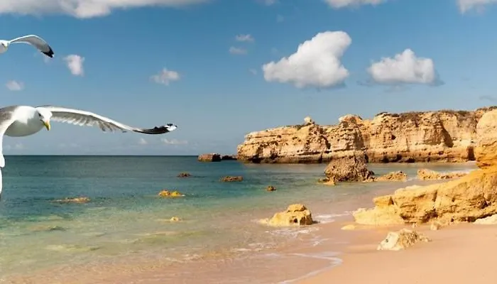 Hébergement de vacances Acolhedora 371, 3 Quartos, Balaia Golf Village *